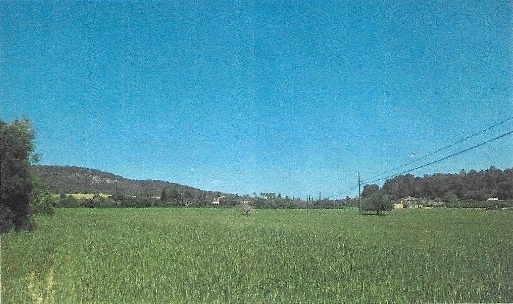 Finca/Landehus til salg i Sant Joan - € 140.000 (Ref: 2544621)