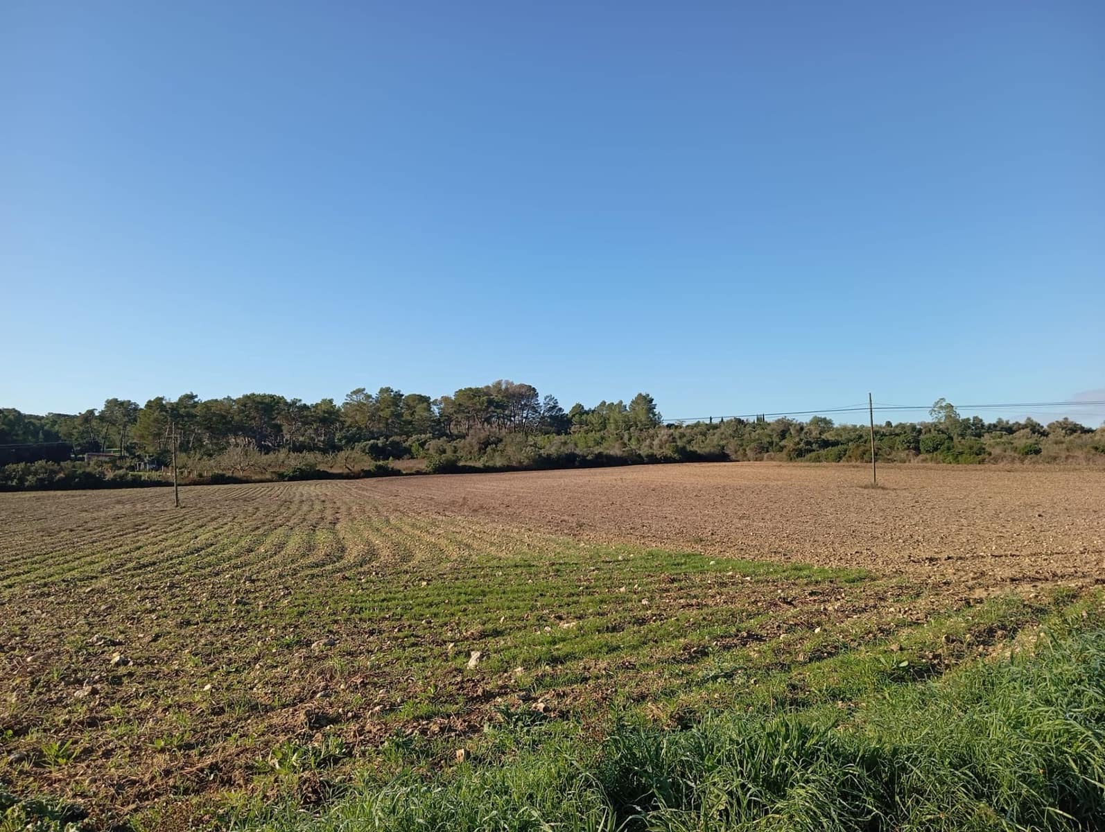 Finca/Landehus til salg i Sant Joan - € 140.000 (Ref: 2544621)