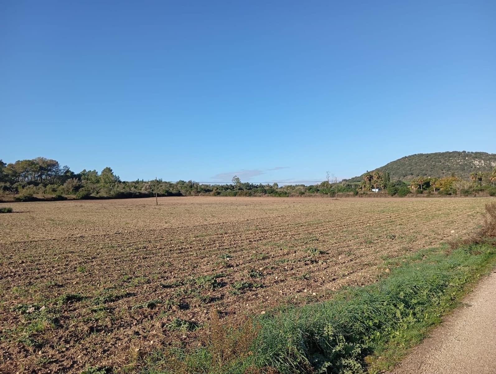 Finca/Landehus til salg i Sant Joan - € 140.000 (Ref: 2544621)