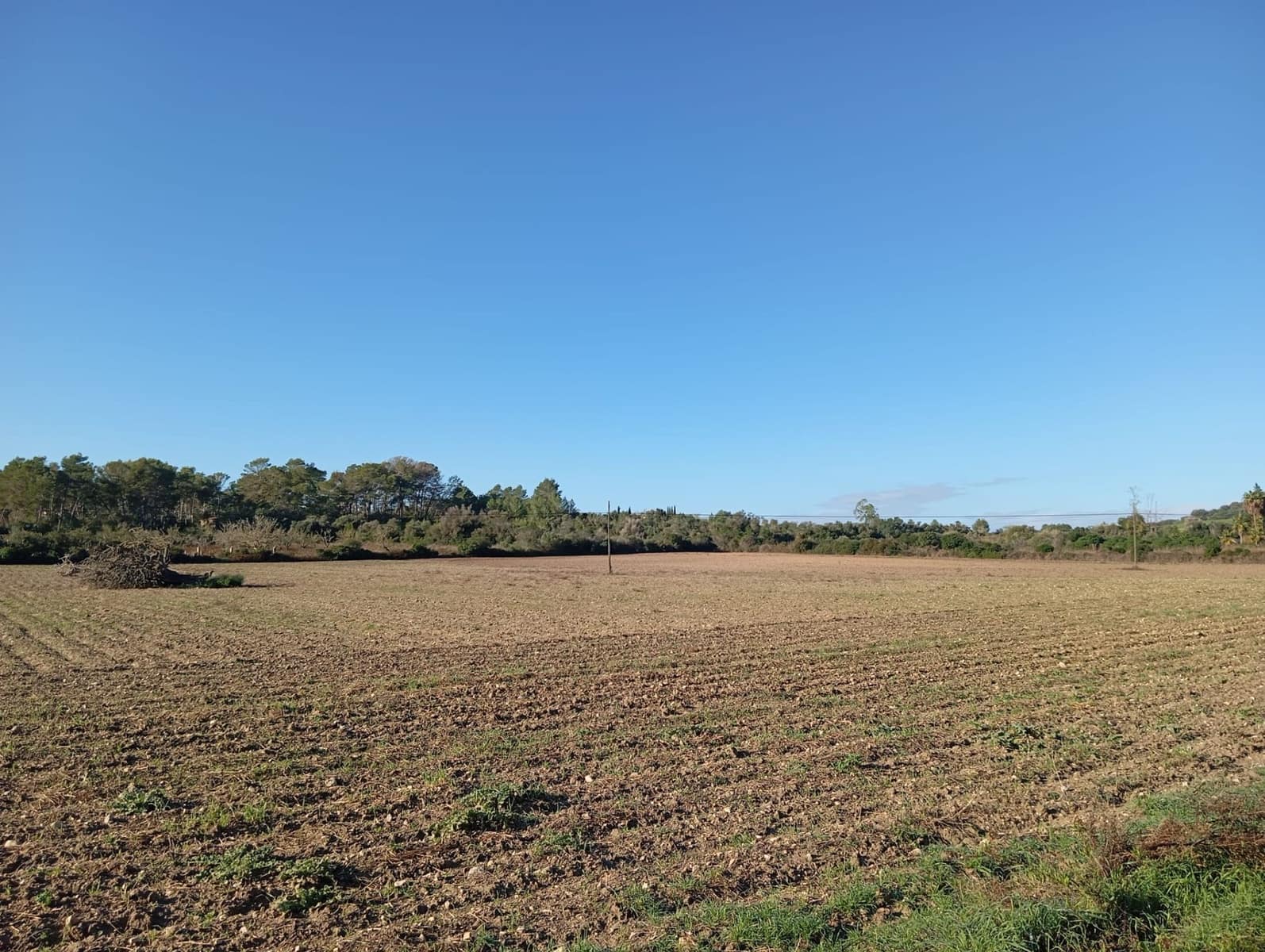 Finca/Landehus til salg i Sant Joan - € 140.000 (Ref: 2544621)