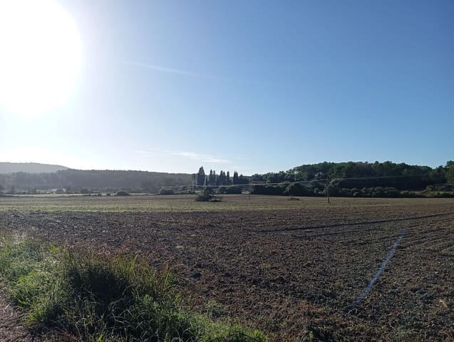 Finca/Hus på landet till salu i Sant Joan - 140 000 € (Ref: 2544621)