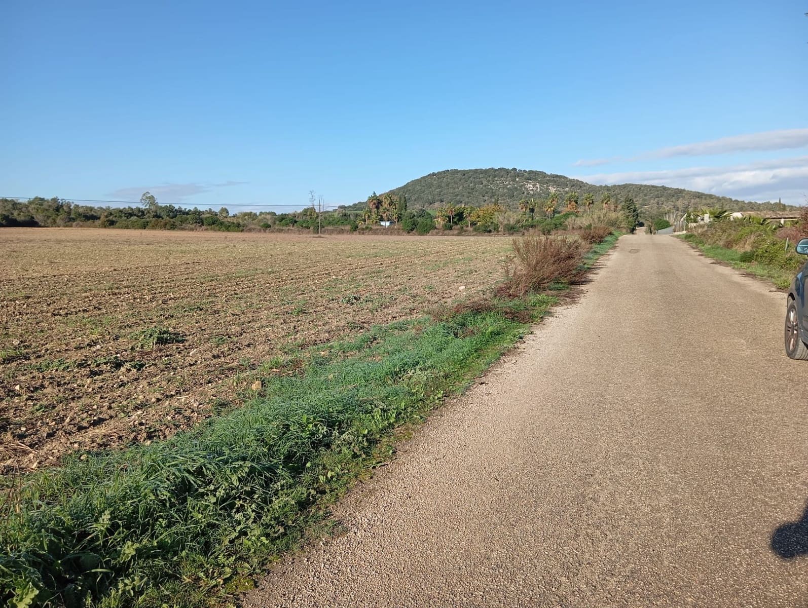 Finca/Landehus til salg i Sant Joan - € 140.000 (Ref: 2544621)