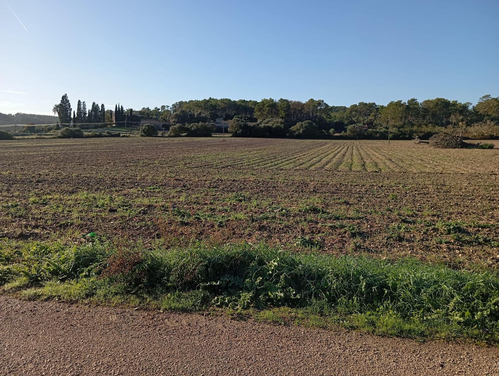 Finca/Landehus til salg i Sant Joan - € 140.000 (Ref: 2544621)