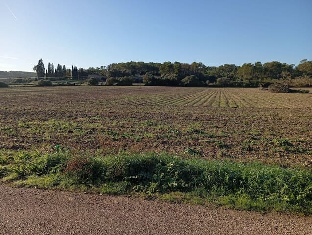 Finca/Hus på landet till salu i Sant Joan - 140 000 € (Ref: 2544621)