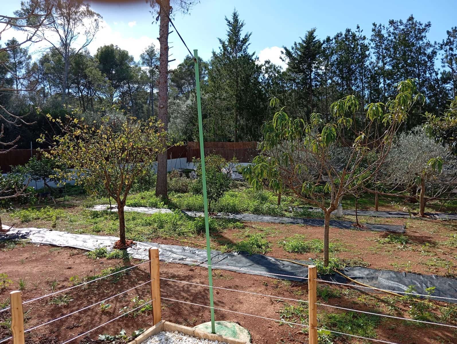 Finca/Casa Rural de 3 habitaciones en Sencelles en venta - 750.000 € (Ref: 9558817)