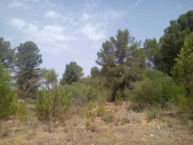 Finca/Casa di Campagna in vendita in Algaida con garage - 160.000 € (Rif: 9558822)