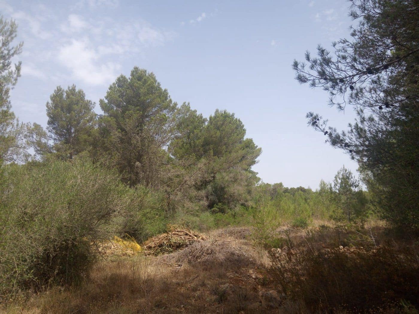 Finca/Landehus til salg i Algaida med garage - € 160.000 (Ref: 9558822)