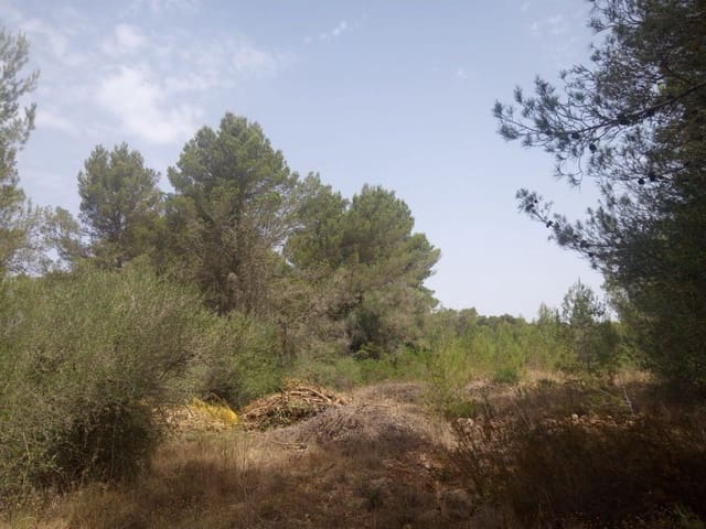 Finca/Casa di Campagna in vendita in Algaida con garage - 160.000 € (Rif: 9558822)