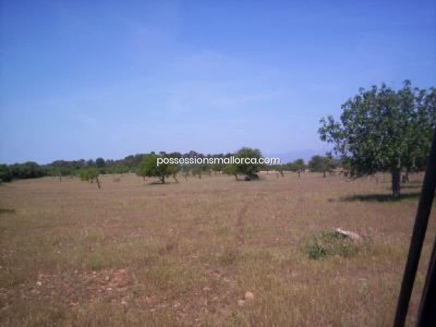 18 camera da letto Finca/Casa di Campagna in vendita in Algaida con garage - 4.300.000 € (Rif: 9558823)