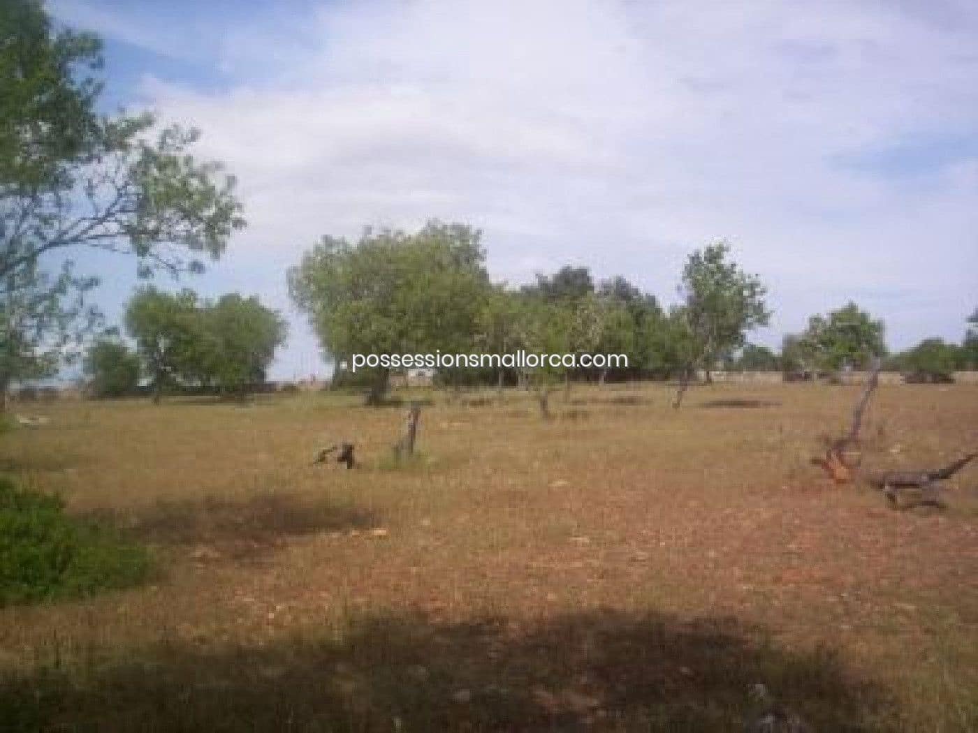 18 camera da letto Finca/Casa di Campagna in vendita in Algaida con garage - 4.300.000 € (Rif: 9558823)