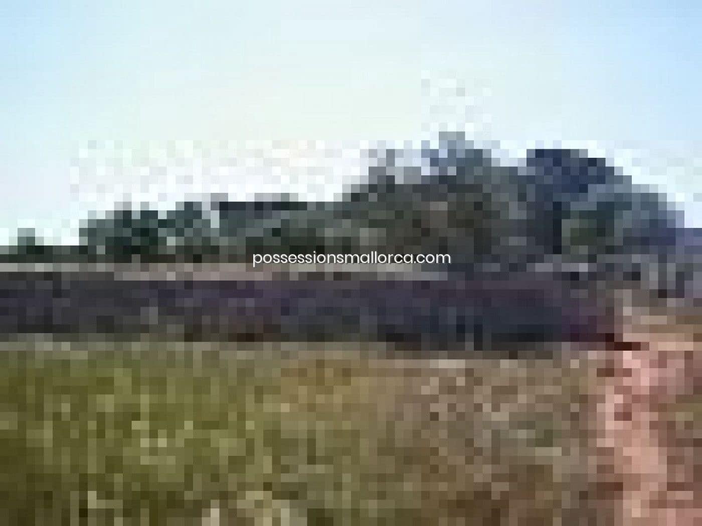 18 camera da letto Finca/Casa di Campagna in vendita in Algaida con garage - 4.300.000 € (Rif: 9558823)