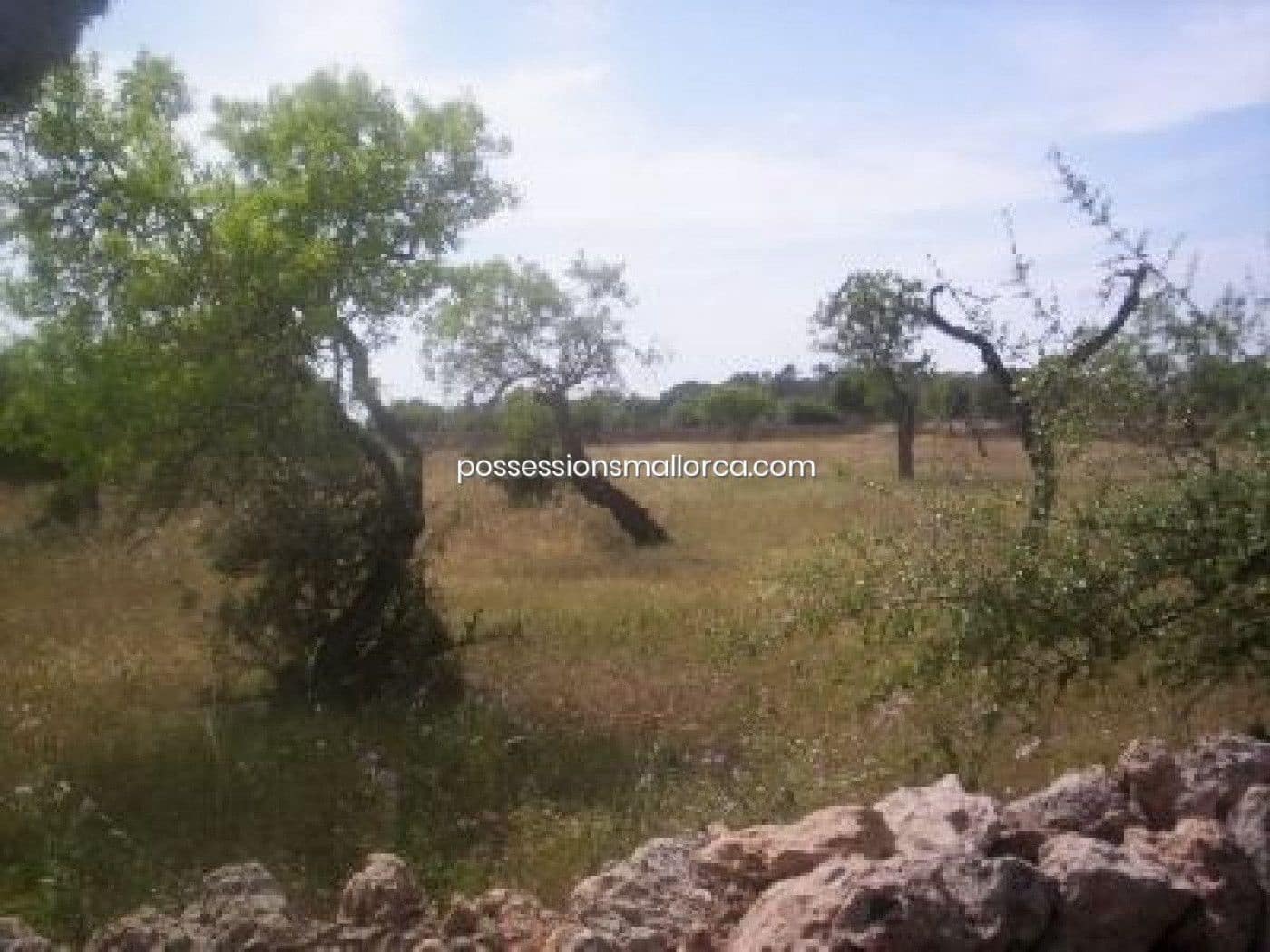 18 camera da letto Finca/Casa di Campagna in vendita in Algaida con garage - 4.300.000 € (Rif: 9558823)