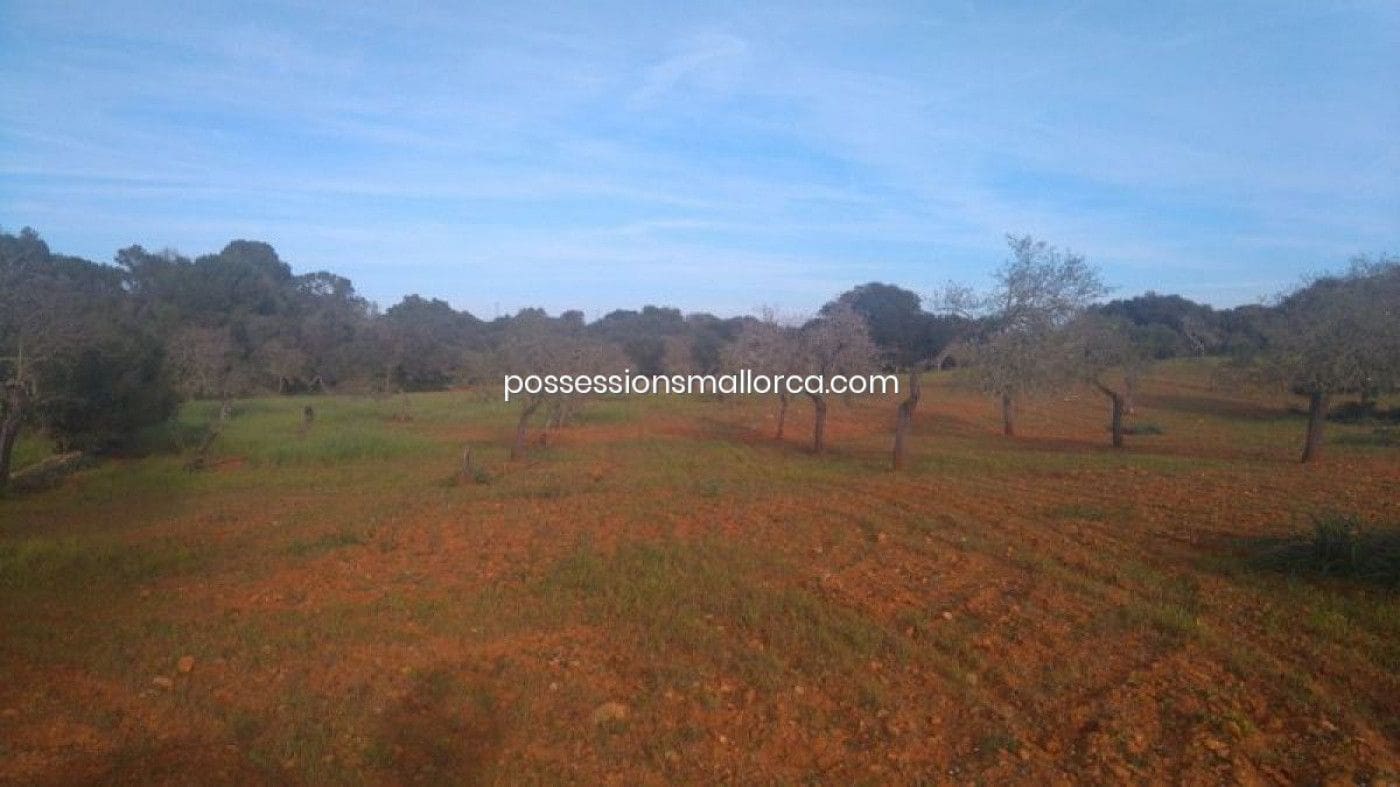 18 camera da letto Finca/Casa di Campagna in vendita in Algaida con garage - 4.300.000 € (Rif: 9558823)