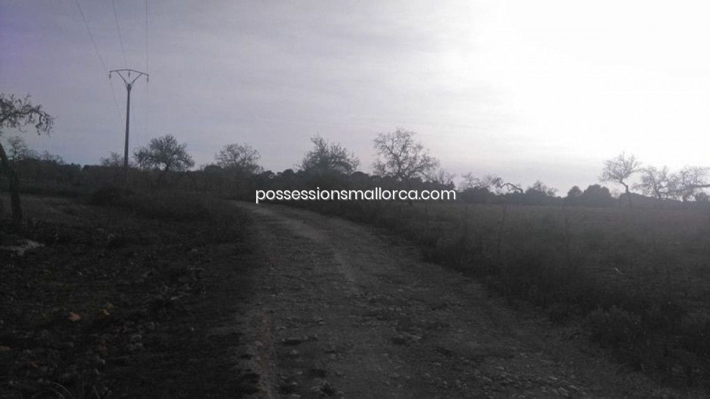 18 camera da letto Finca/Casa di Campagna in vendita in Algaida con garage - 4.300.000 € (Rif: 9558823)