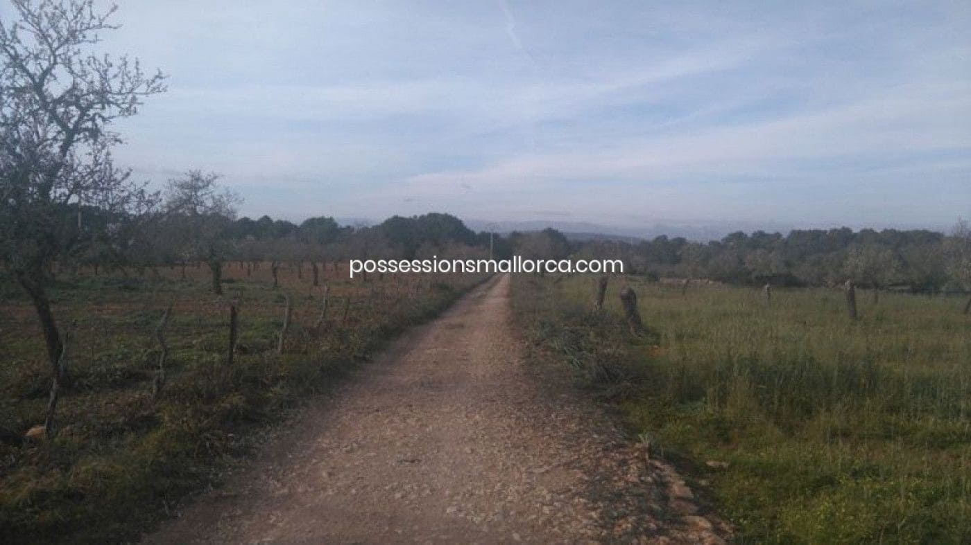 18 camera da letto Finca/Casa di Campagna in vendita in Algaida con garage - 4.300.000 € (Rif: 9558823)