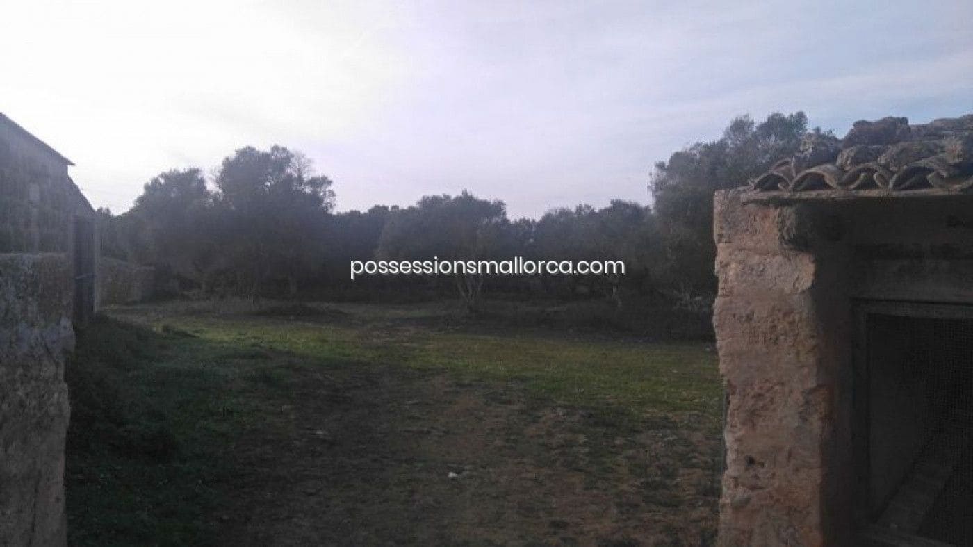 18 camera da letto Finca/Casa di Campagna in vendita in Algaida con garage - 4.300.000 € (Rif: 9558823)
