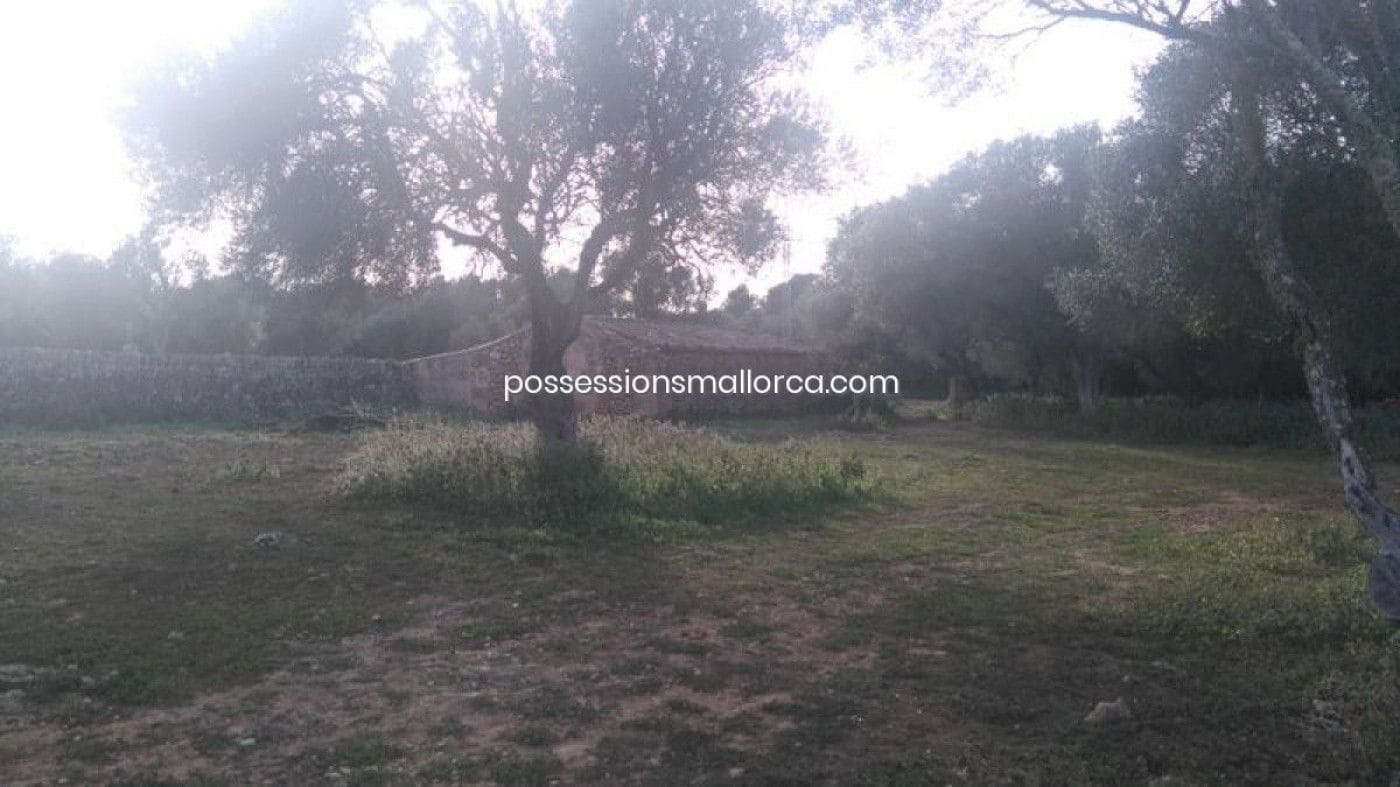 18 camera da letto Finca/Casa di Campagna in vendita in Algaida con garage - 4.300.000 € (Rif: 9558823)