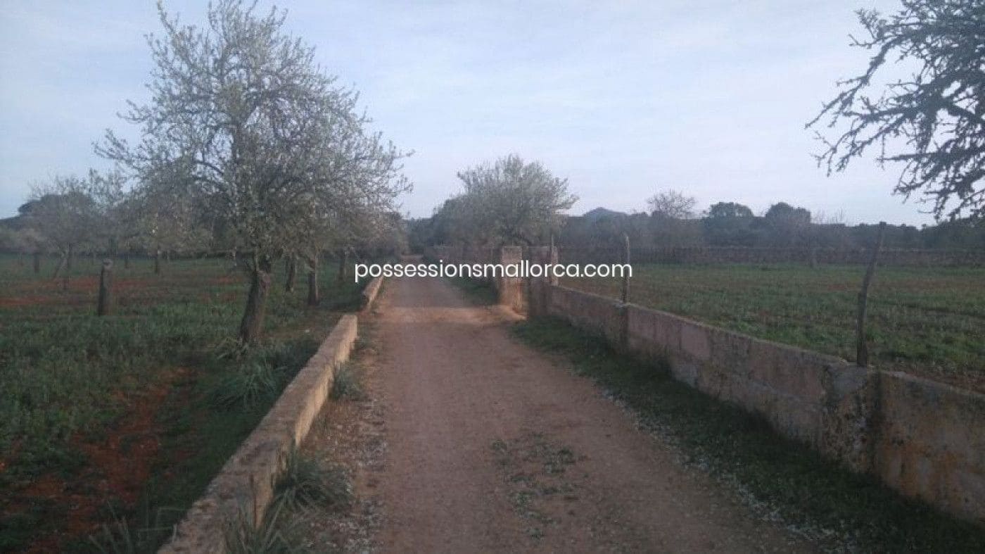 18 camera da letto Finca/Casa di Campagna in vendita in Algaida con garage - 4.300.000 € (Rif: 9558823)