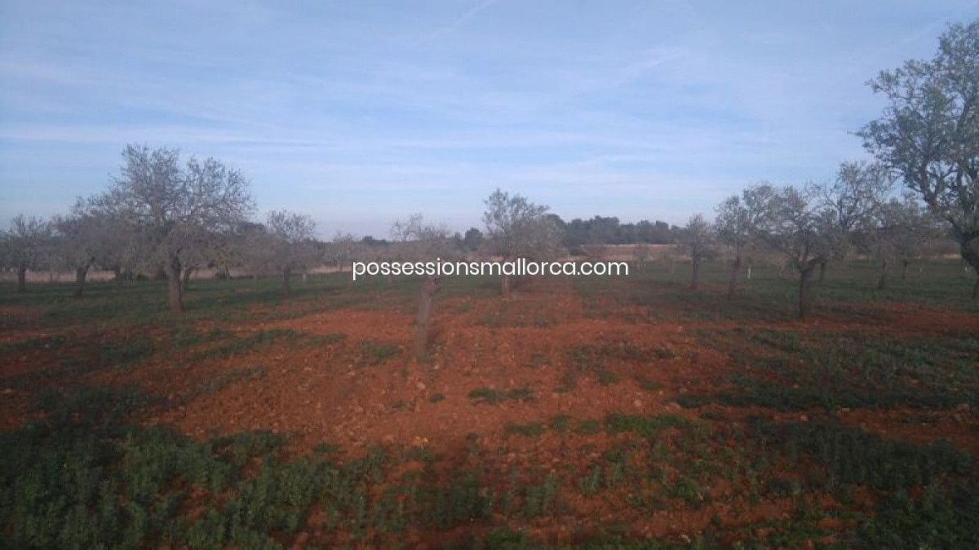 18 camera da letto Finca/Casa di Campagna in vendita in Algaida con garage - 4.300.000 € (Rif: 9558823)