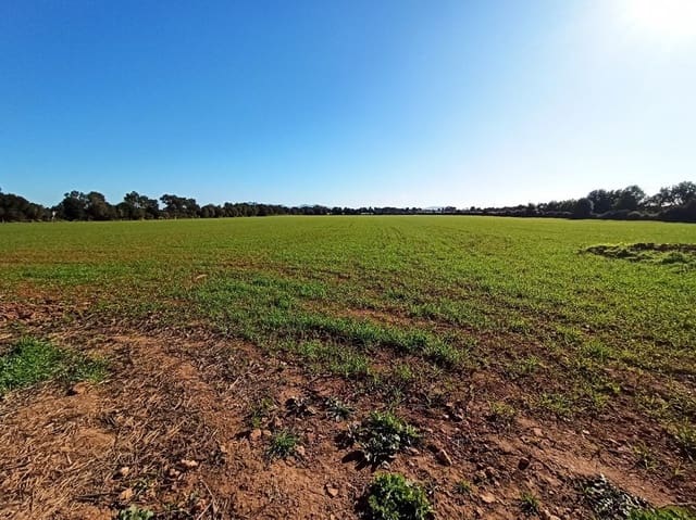 Finca/Hus på landet till salu i Porreres - 560 000 € (Ref: 9558824)