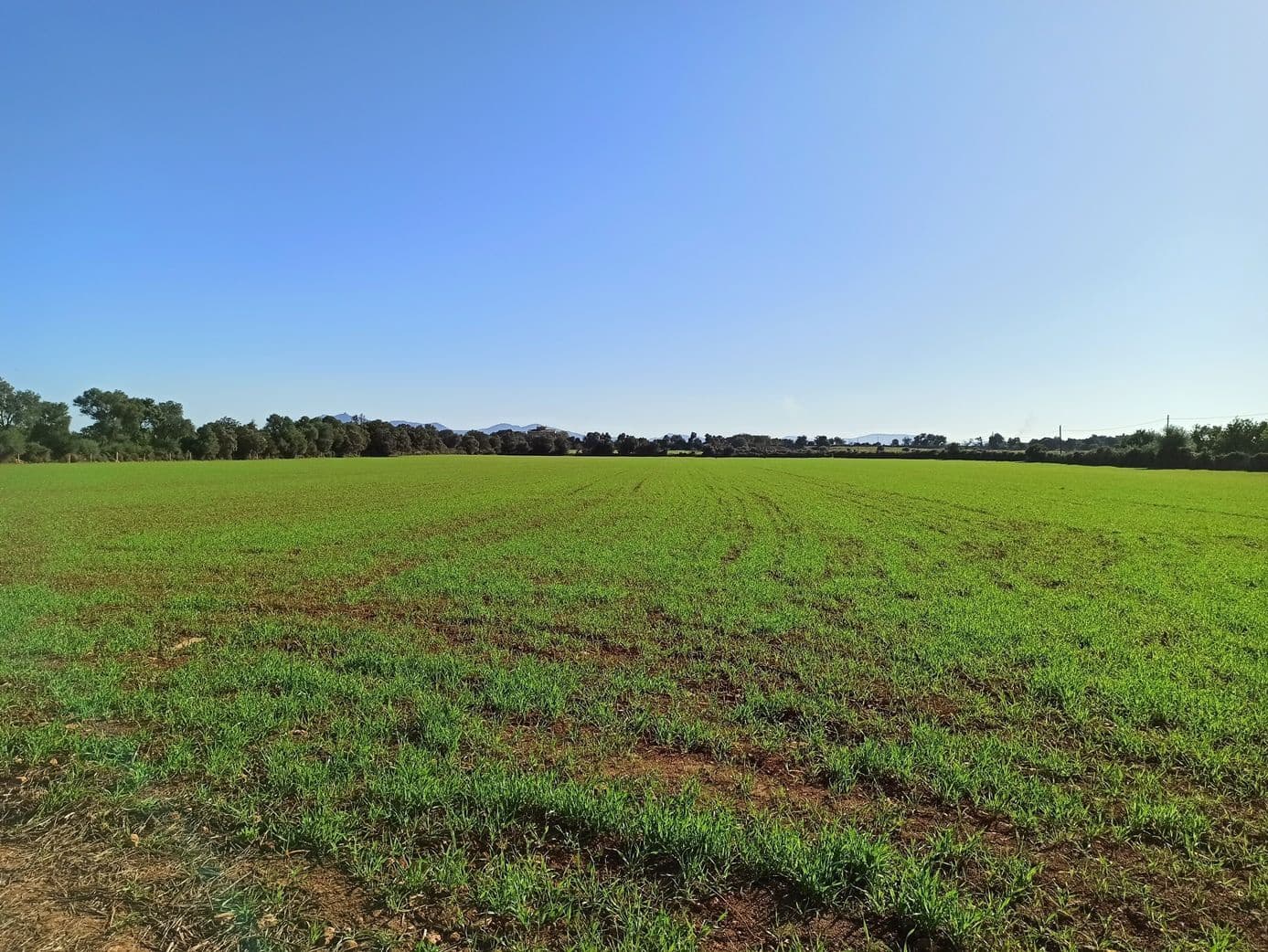 Finca/Hus på landet till salu i Porreres - 560 000 € (Ref: 9558824)