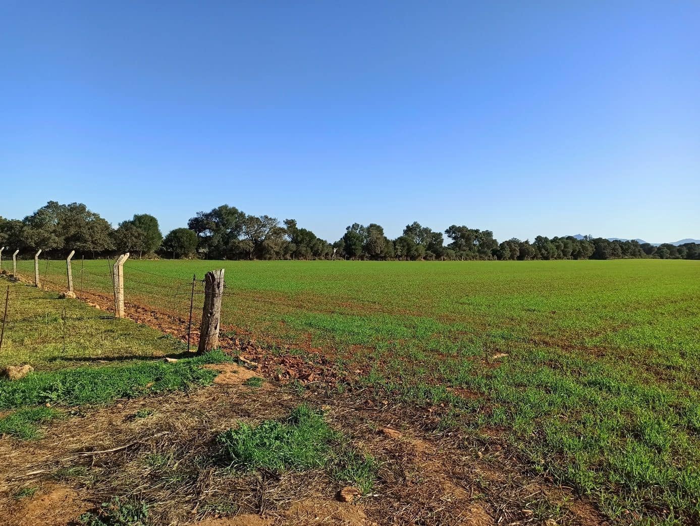 Finca/Hus på landet till salu i Porreres - 560 000 € (Ref: 9558824)