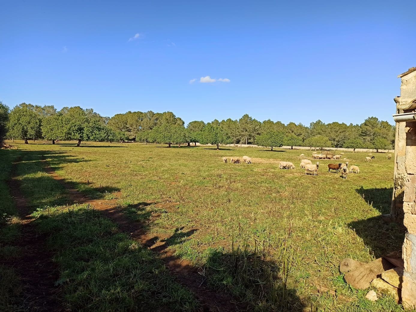 Finca/Hus på landet till salu i Porreres - 560 000 € (Ref: 9558824)