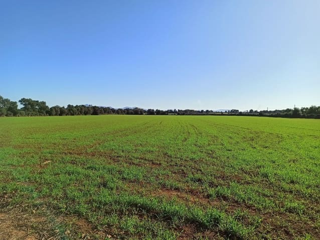 Finca/Hus på landet till salu i Porreres - 560 000 € (Ref: 9558824)