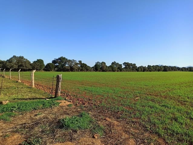 Finca/Hus på landet till salu i Porreres - 560 000 € (Ref: 9558824)