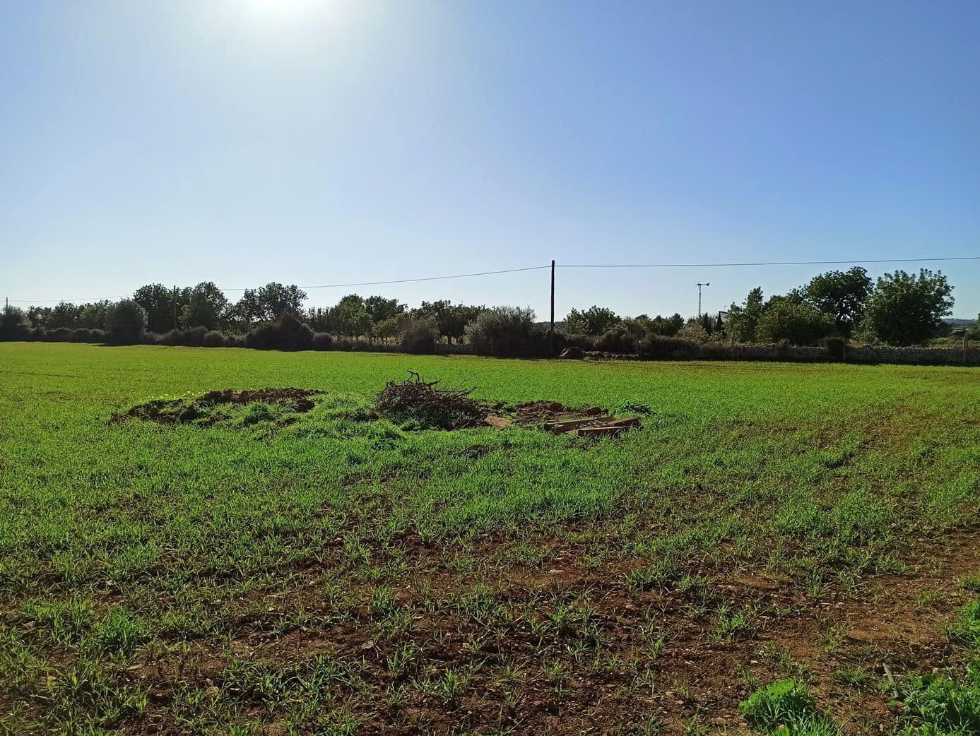 Finca/Hus på landet till salu i Porreres - 560 000 € (Ref: 9558824)