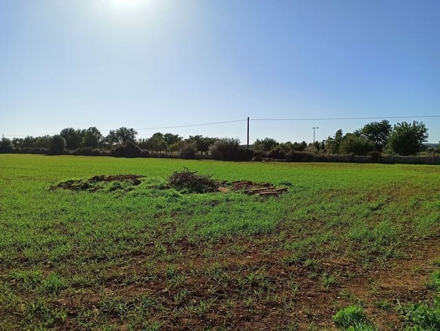 Finca/Hus på landet till salu i Porreres - 560 000 € (Ref: 9558824)