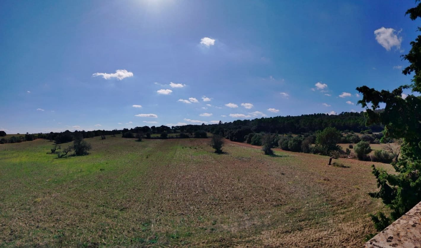 9 camera da letto Finca/Casa di Campagna in vendita in Algaida - 4.200.000 € (Rif: 9558829)