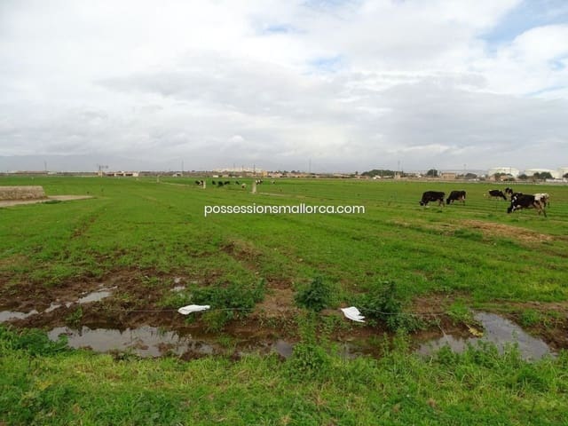 14 soverom Hotell til salgs i Llevant, Palma de Mallorca med garasje - € 9 990 000 (Ref: 9558830)