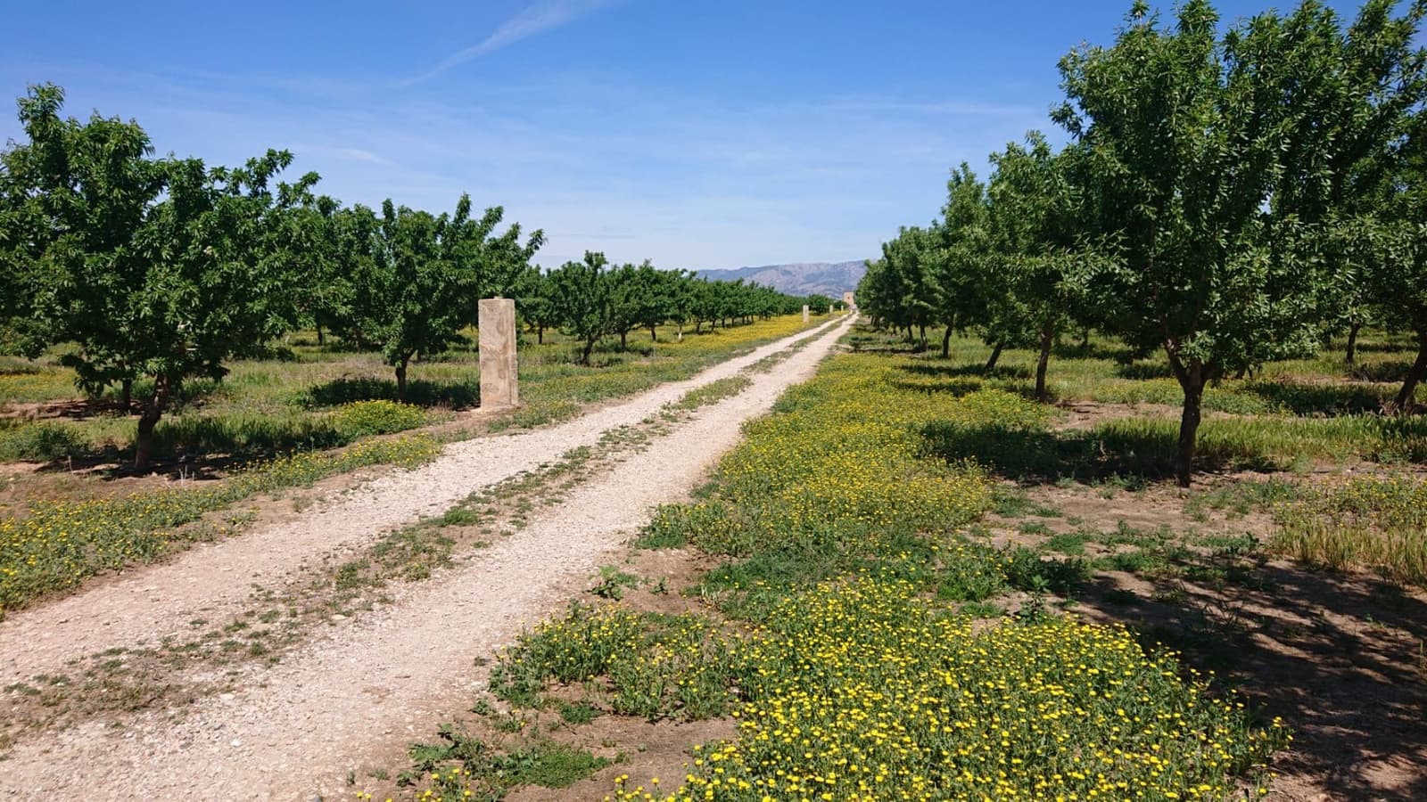 14 soverom Hotell til salgs i Palma de Mallorca med garasje - € 9 990 000 (Ref: 9558830)