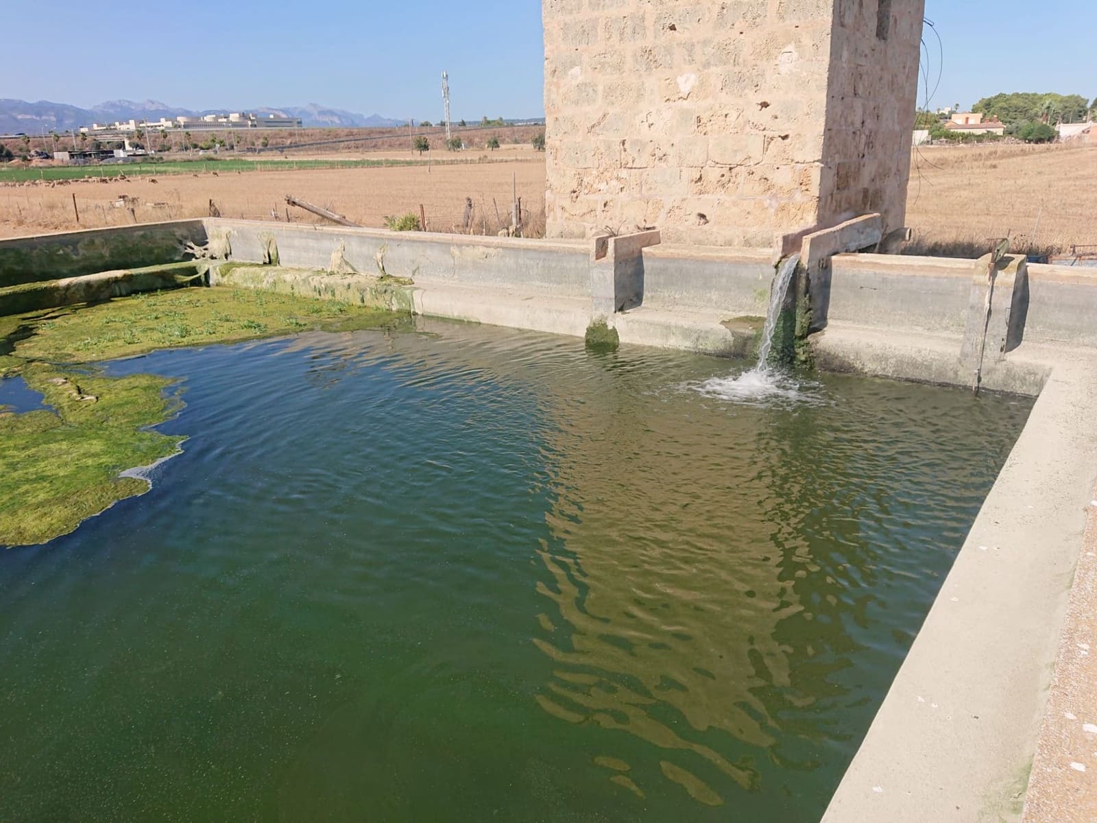 14 soverom Hotell til salgs i Palma de Mallorca med garasje - € 9 990 000 (Ref: 9558830)