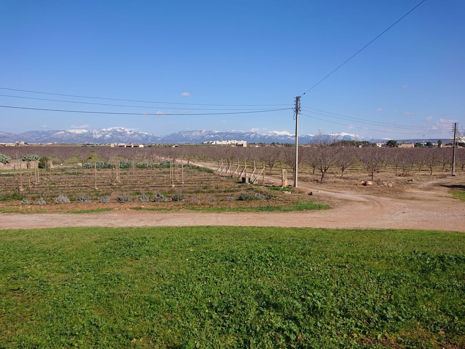 14 soverom Hotell til salgs i Palma de Mallorca med garasje - € 9 990 000 (Ref: 9558830)