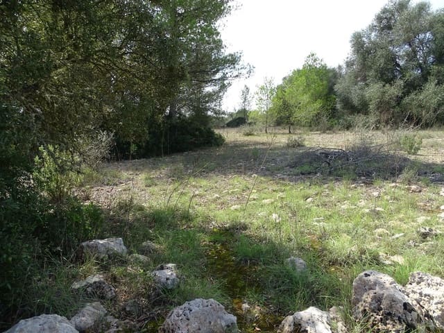 Finca/Casa di Campagna in vendita in Algaida - 122.000 € (Rif: 9585890)