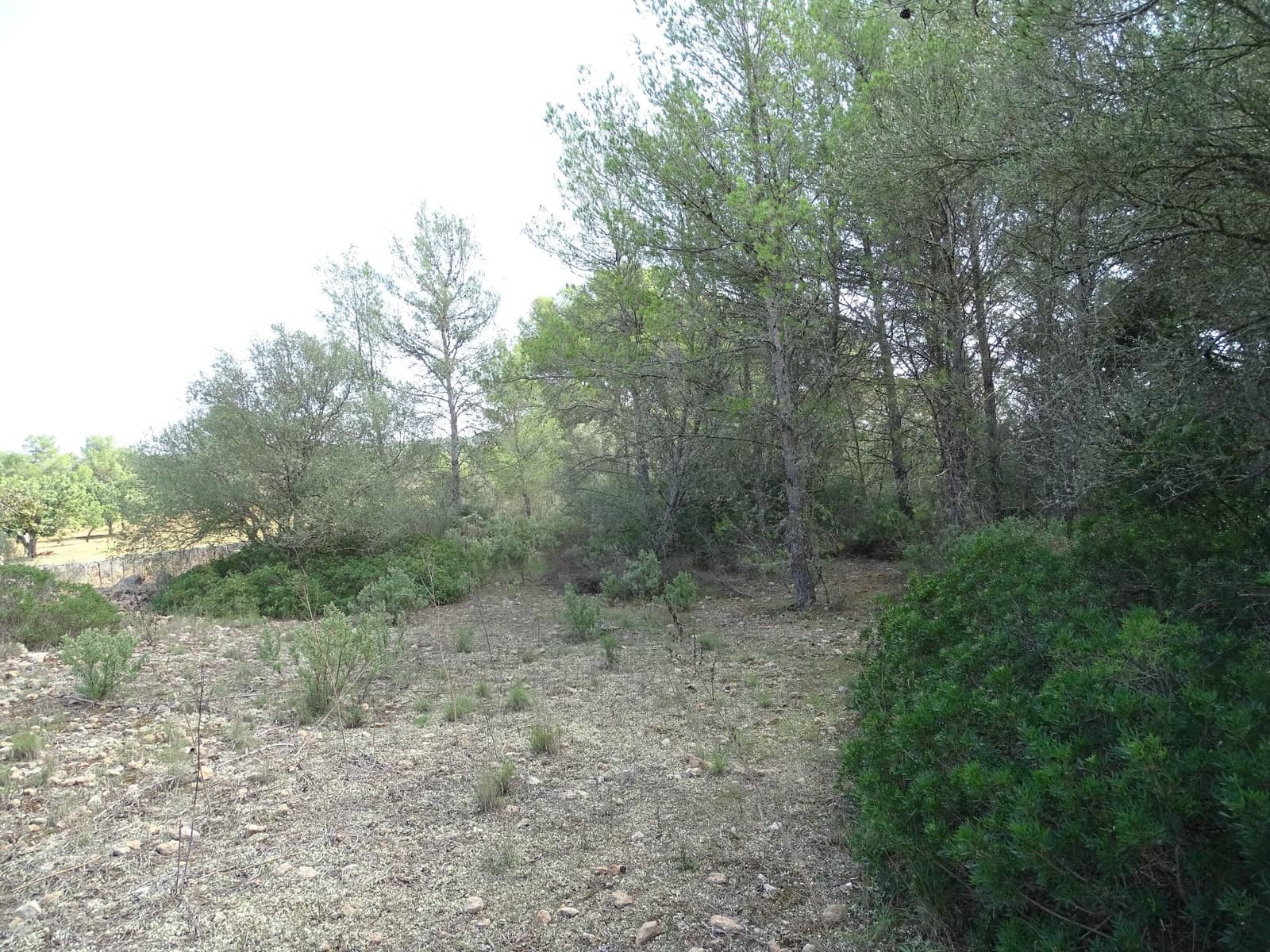 Finca/Casa di Campagna in vendita in Algaida - 122.000 € (Rif: 9585890)