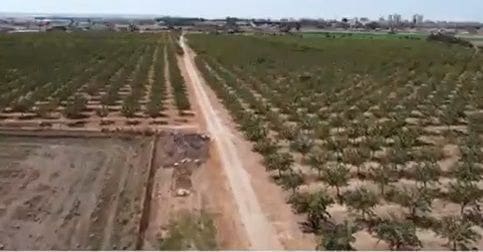 14 bedroom Hotel for sale in Palma de Mallorca with garage - € 10,000,000 (Ref: 9615151)