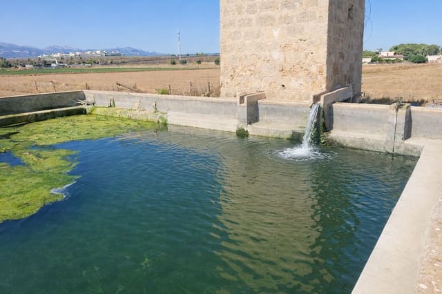 14 bedroom Hotel for sale in Llevant, Palma de Mallorca with garage - € 10,000,000 (Ref: 9615151)