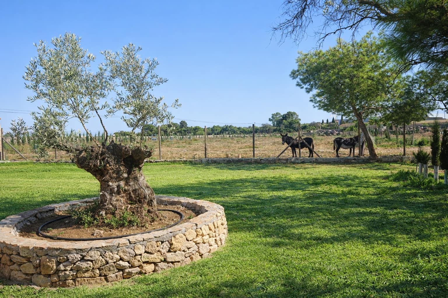 14 bedroom Hotel for sale in Palma de Mallorca with garage - € 10,000,000 (Ref: 9615151)