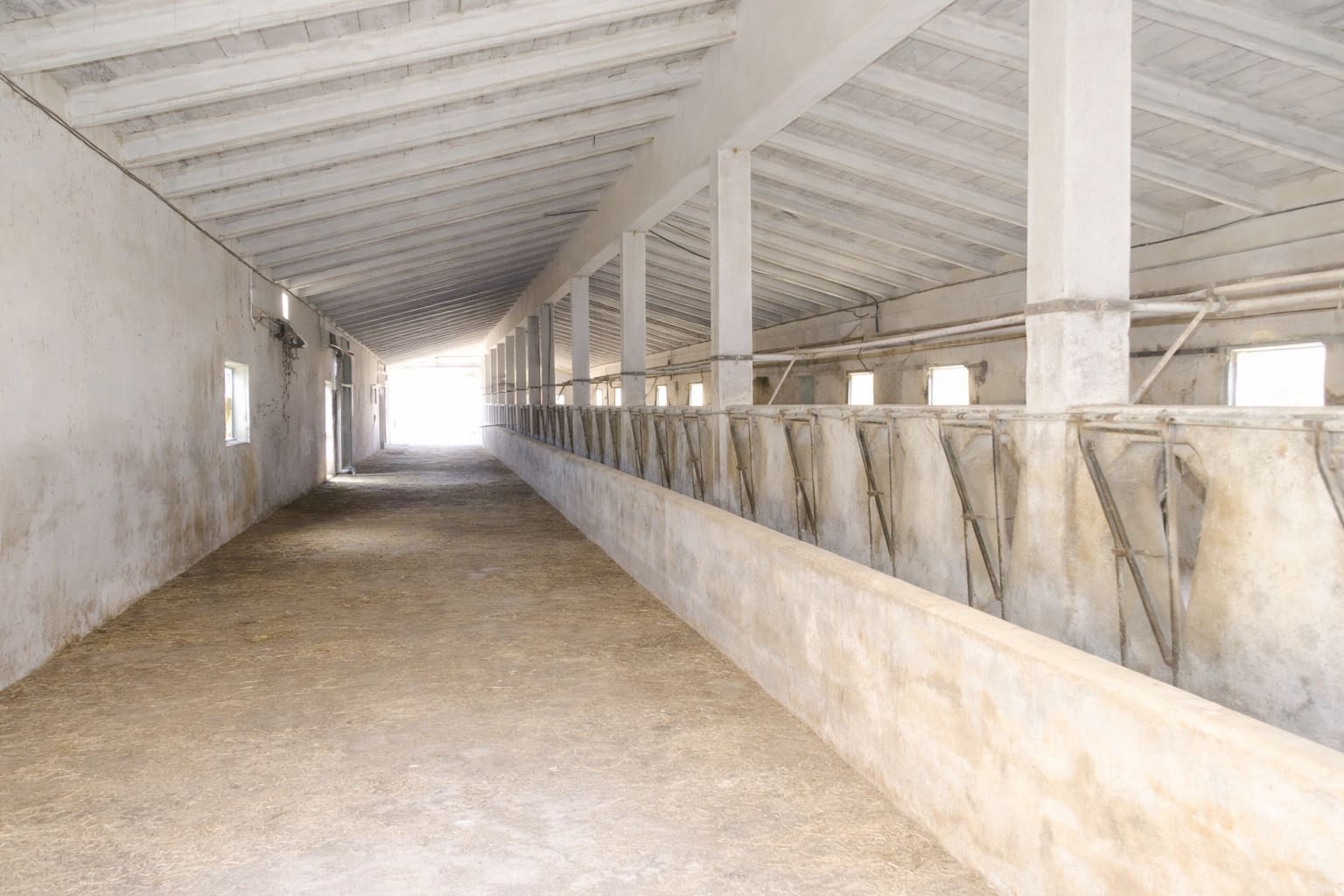 14 bedroom Hotel for sale in Palma de Mallorca with garage - € 10,000,000 (Ref: 9615151)