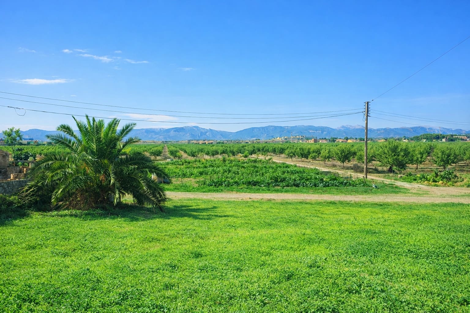 14 bedroom Hotel for sale in Palma de Mallorca with garage - € 10,000,000 (Ref: 9615151)