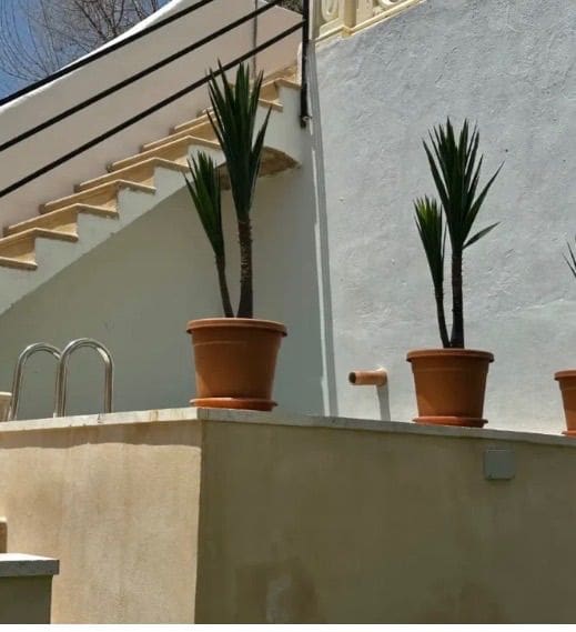 5 soveværelse Villa til leje i Palma de Mallorca med swimmingpool garage - € 4.000 (Ref: 9679554)