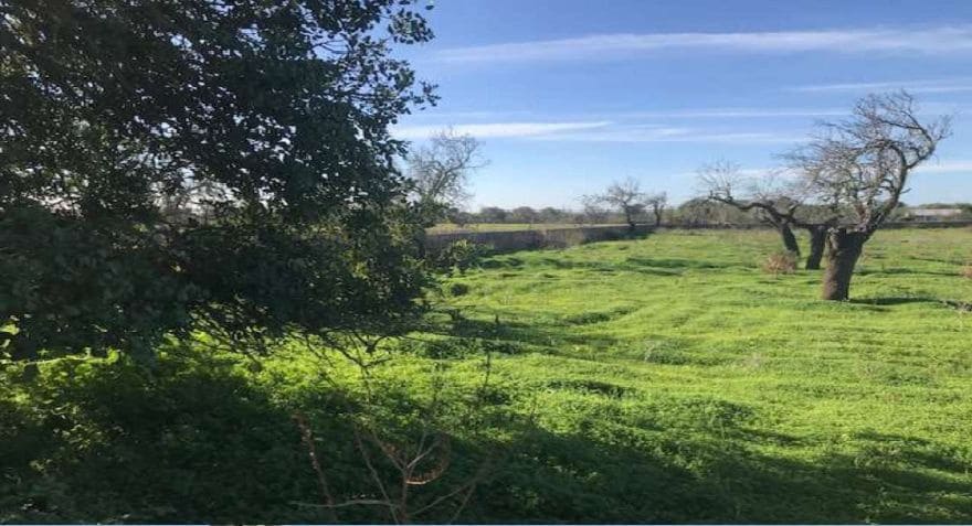 Quinta/Casa Rural para venda em Llucmajor - 3 800 000 € (Ref: 9679555)