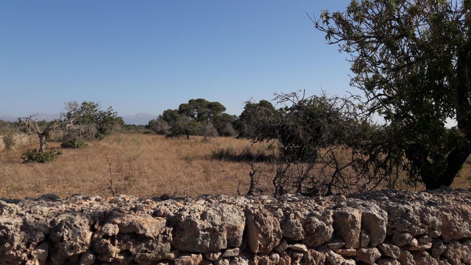 Quinta/Casa Rural para venda em Algaida com garagem - 539 000 € (Ref: 9679556)