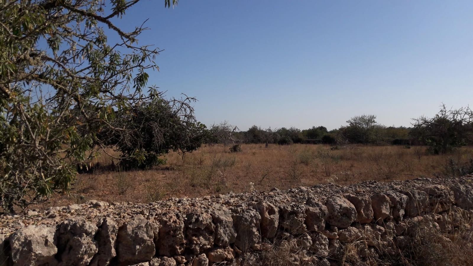 Quinta/Casa Rural para venda em Algaida com garagem - 539 000 € (Ref: 9679556)