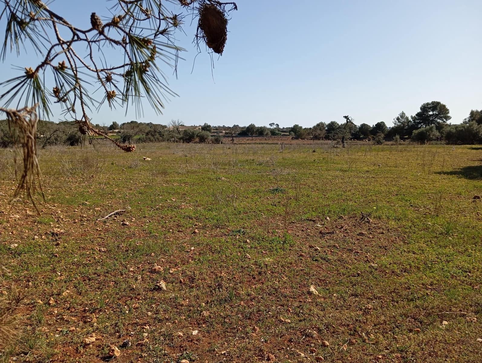 Quinta/Casa Rural para venda em Algaida com garagem - 539 000 € (Ref: 9679556)