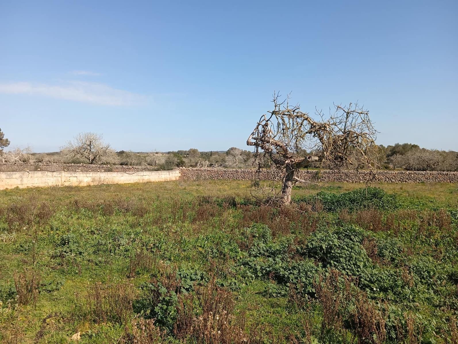 Quinta/Casa Rural para venda em Algaida com garagem - 539 000 € (Ref: 9679556)