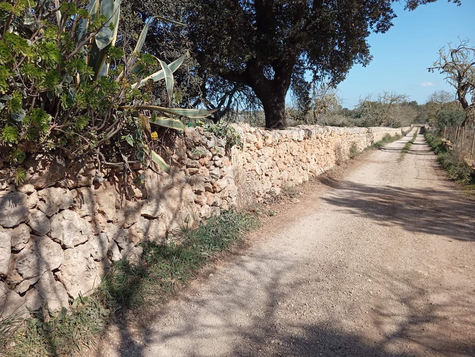 Quinta/Casa Rural para venda em Algaida com garagem - 539 000 € (Ref: 9679556)